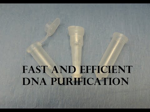 Centri-Sep Spin Columns: Fast and Efficient DNA Purification