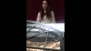 Cruachan - The Butterfly (on my keyboard)