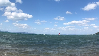ふとちむ のライブ ストリーム