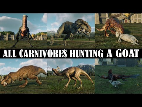 ALL CARNIVORES HUNTING A GOAT (ALL DLC) | JURASSIC WORLD EVOLUTION 2