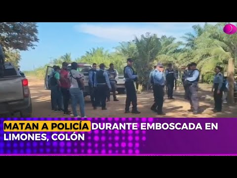 Police officer killed during ambush in Limones, Colón