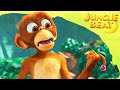 Boing Boing Jungle Beat Compilación 2022