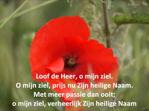 download lagu mp3 mp4 10 Duizend Redenen, download lagu 10 Duizend Redenen gratis, unduh video klip 10 Duizend Redenen