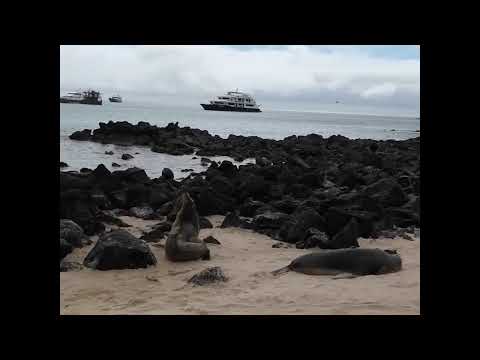 San Cristobal Island, Galapagos, Ecuador.