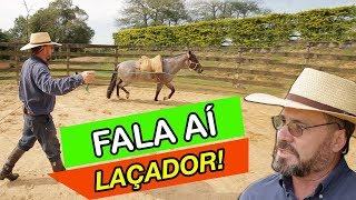 Miniatura do vídeo
