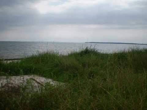 Midt mellem sorg og glæde (af Linda Vilhelmsen)