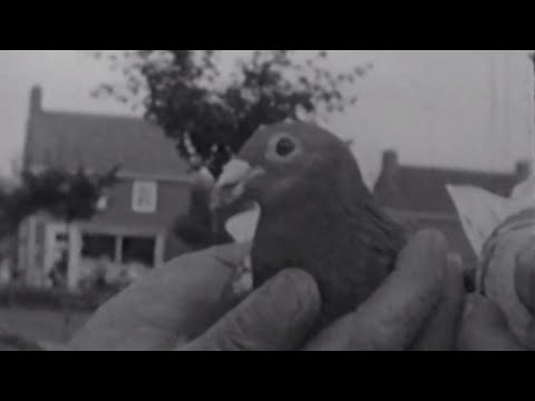 Ons Dorp 30 januari 2020 - Lichtenvoorde 1960