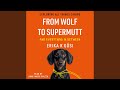 Chapter 19: Addressing Common Behaviour Problems.27 - From Wolf to Supermutt and Everything in...