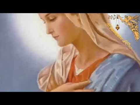 Prayer to free 1,000 souls from Purgatory 🙏🙏🙏💖