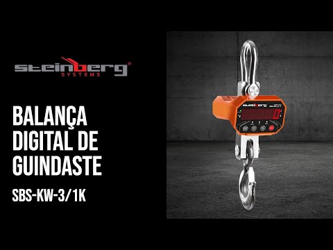 vídeo - Balança de guindaste - 3000 kg / 1 kg - LED - digital - controlo remoto 20 m