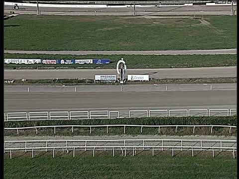 Trotto 02/12/2018 - prova di qualifica