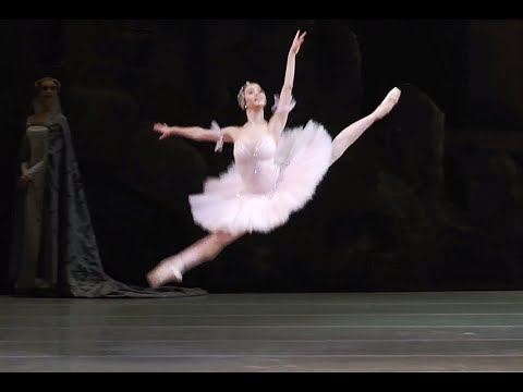 Shakirova 2017 - Henrietta Variation Raymonda Act 2