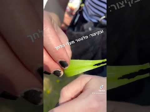 תמונה של ליקוטינה
