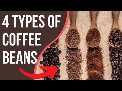 4 Types Of Coffee Beans You NEED To Know | Coffee Buzz Club |