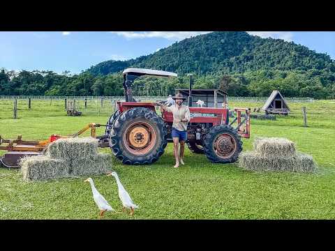 Self-Sufficient on a Tropical Farm: 4 Year Tour