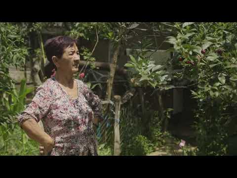 MUSHROOMS GROW IN MEMORY / ПЕЧУРКИ ОД МИНАТОТО