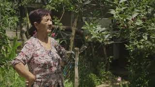 MUSHROOMS GROW IN MEMORY / ПЕЧУРКИ ОД МИНАТОТО