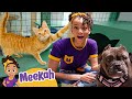 Meekah Visits An Animal Shelter Meekah Full Episodes Educational Videos For Kids Blippi Toys