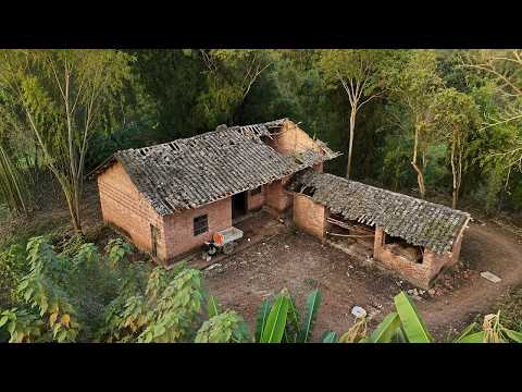 Leaving His High-Paying City Job, The Man Returned Home And Turned An Old House Into Paradise