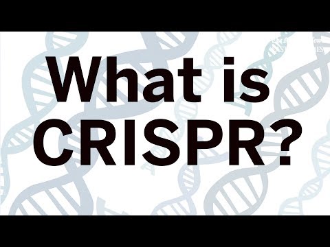 How CRISPR works