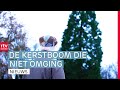 Kerstboom van Jan (95) toch niet naar het Koopmansplein. De boom is veel te groot | RTV Drenthe