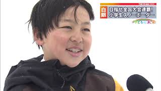 サンプル動画
