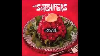 The Seatsniffers - Since my baby left me
