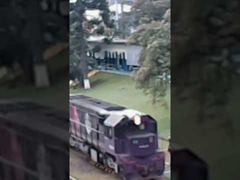 Pátio Ferroviário Rio Negro Paraná PR-Brasil (2026) #trensbrasil #trains #rumo #railfan #ferrovia