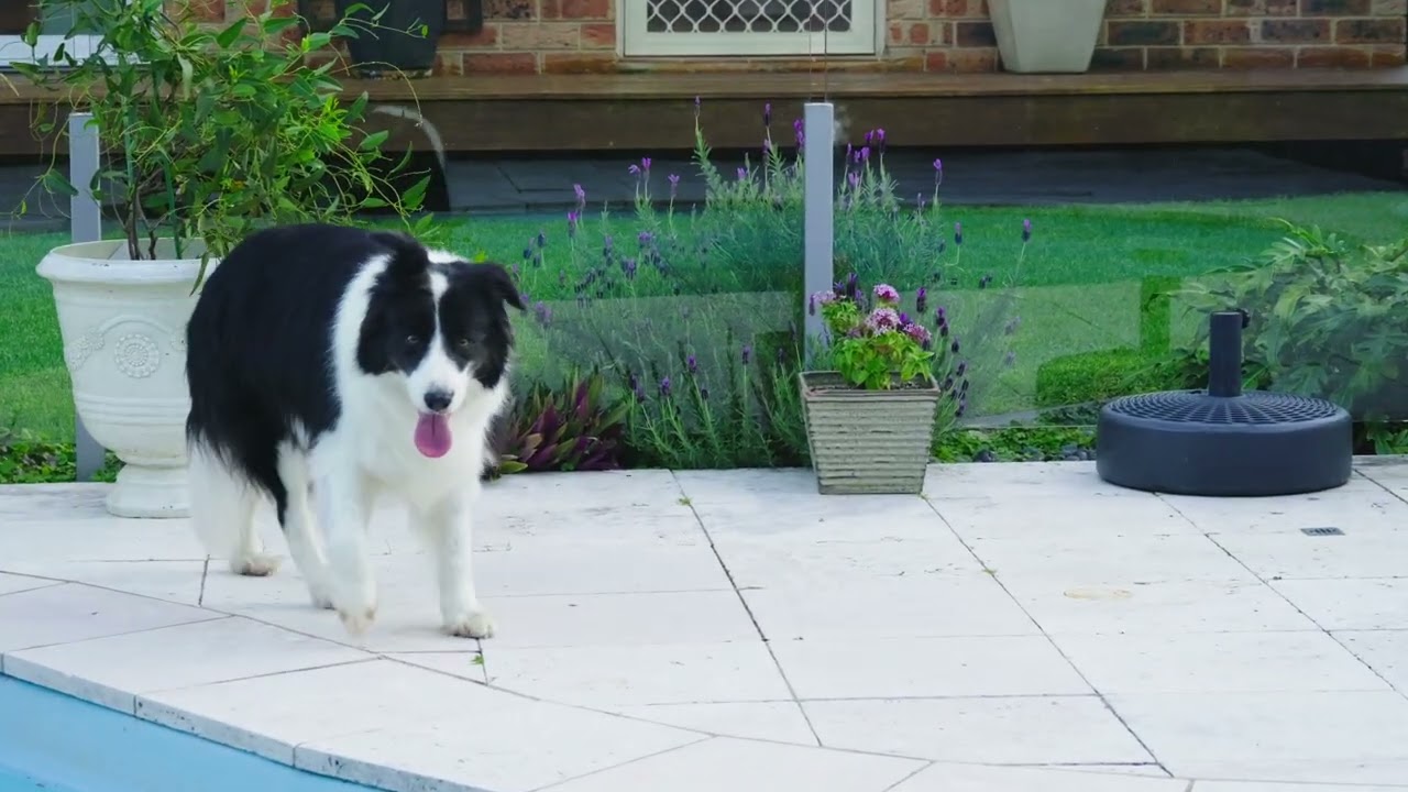 14 Corrie Road, Woonona NSW