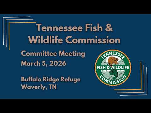 TFWC Committee Meeting 030526