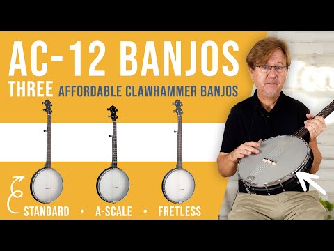 Gold Tone AC-12FL 12'' Fretless Acoustic Composite 5-String Openback Banjo with Gig Bag image 13