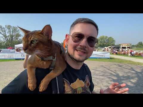 SenSej, gatto Abissino superstar