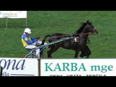 Pričetek kasaške sezone 2016