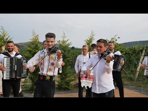 Eusebiu Fofiu si Anton Trifoi - Instrumentala bihor (Pe picior 2023)