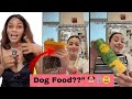 Not The Husband Packing DOG FOOD For Lunch Wife S Lunch Or Dog S Dinner