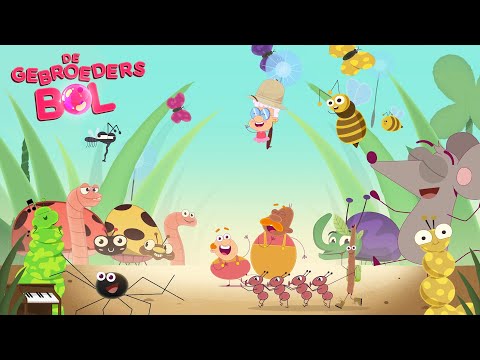 De Gebroeders Bol | Groot & Klein