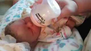 Brandy Is Sick :( (Reborn Baby Role Play w Sound Effects)