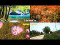 Jo Tum Mere Ho Anuv Jain Lyrics Song Status Nature 4K Status Video