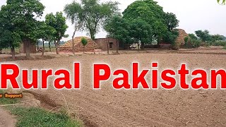 Village Life In Pakistan 2022 | BONFIRE #ABBOTTABAD  #SRAW #Pakistan