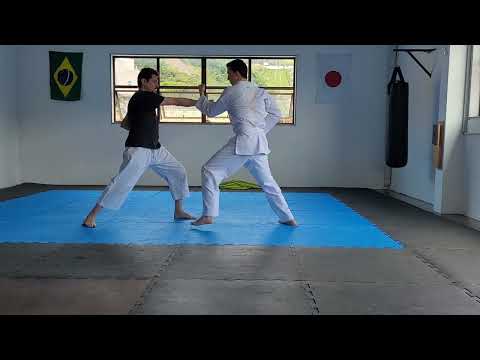 Treino de Jiyu Ippon (2) Hudson vs Igor