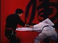 Hung Gar Tutorial With Chiu Chi Ling 1 4