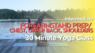 30 Minute Yoga Class | Forearmstand Prep | Chest | Upper Back | Shoulders