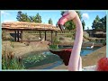 Greater Flamingo Habitat River Rock Zoo Planet Zoo Speed Build
