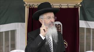 הרב אברהם יוסף שליט"א התורה היא אש