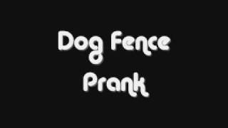 Dog Fence | Prank Call