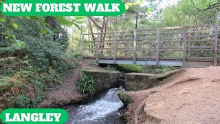 NEW FOREST WALK at LANGLEY (NEW FOREST NATIONAL PARK) (4K)