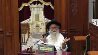 שיעורים חיים להיום -זוהר קדוש עם הרב יהודה שהרבני -