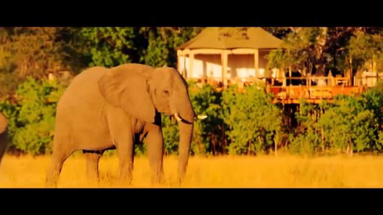 Namibia: Onjala Tierbeobachtung (1:09)