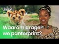 Waarom dragen we panterprintjes? | Waarom? Daarom!