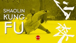 Kung Fu Classes Southampton | Wushu Team UK | Kung Fu Team UK | Sanda Team UK | UK Shaolin Gym